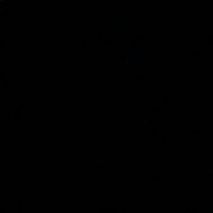 Meet your Posher, Quinn